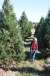 resIMG_20101127_4332.JPG
